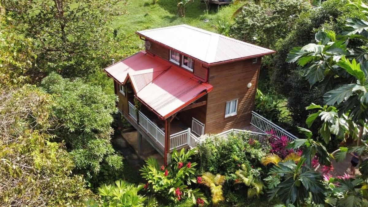 Mahogany Lodge - Oasis Cosy Rivière-Pilote Buitenkant foto