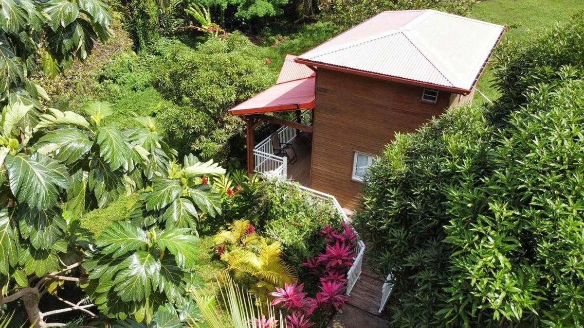Mahogany Lodge - Oasis Cosy Rivière-Pilote Buitenkant foto