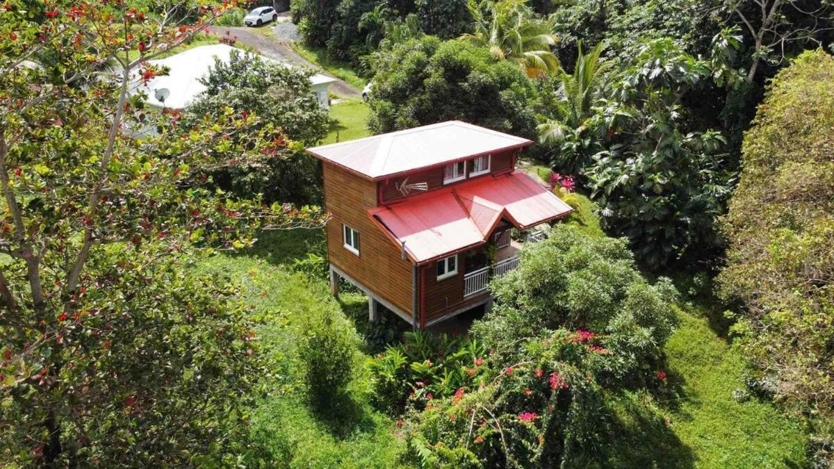 Mahogany Lodge - Oasis Cosy Rivière-Pilote Buitenkant foto